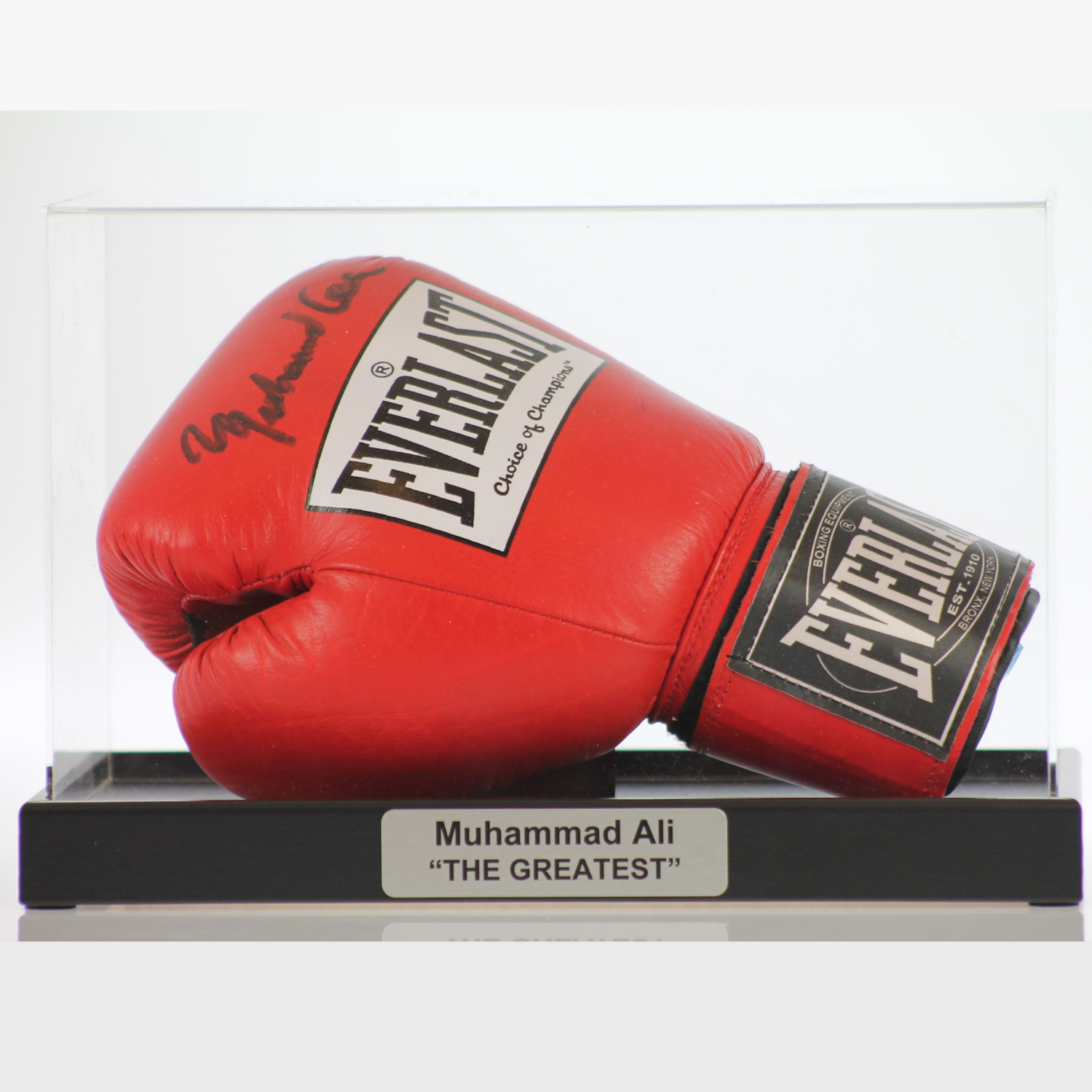 Classic Boxing Glove Display Case Landscape