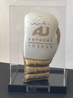 Classic Boxing Glove Display Case Portrait