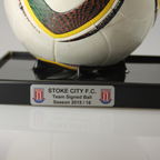 Classic Football Display Case