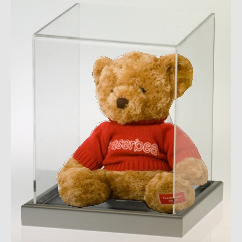Classic Large Teddy Bear Display Case Portrait