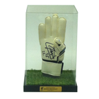 Classic Boxing Glove Display Case Portrait