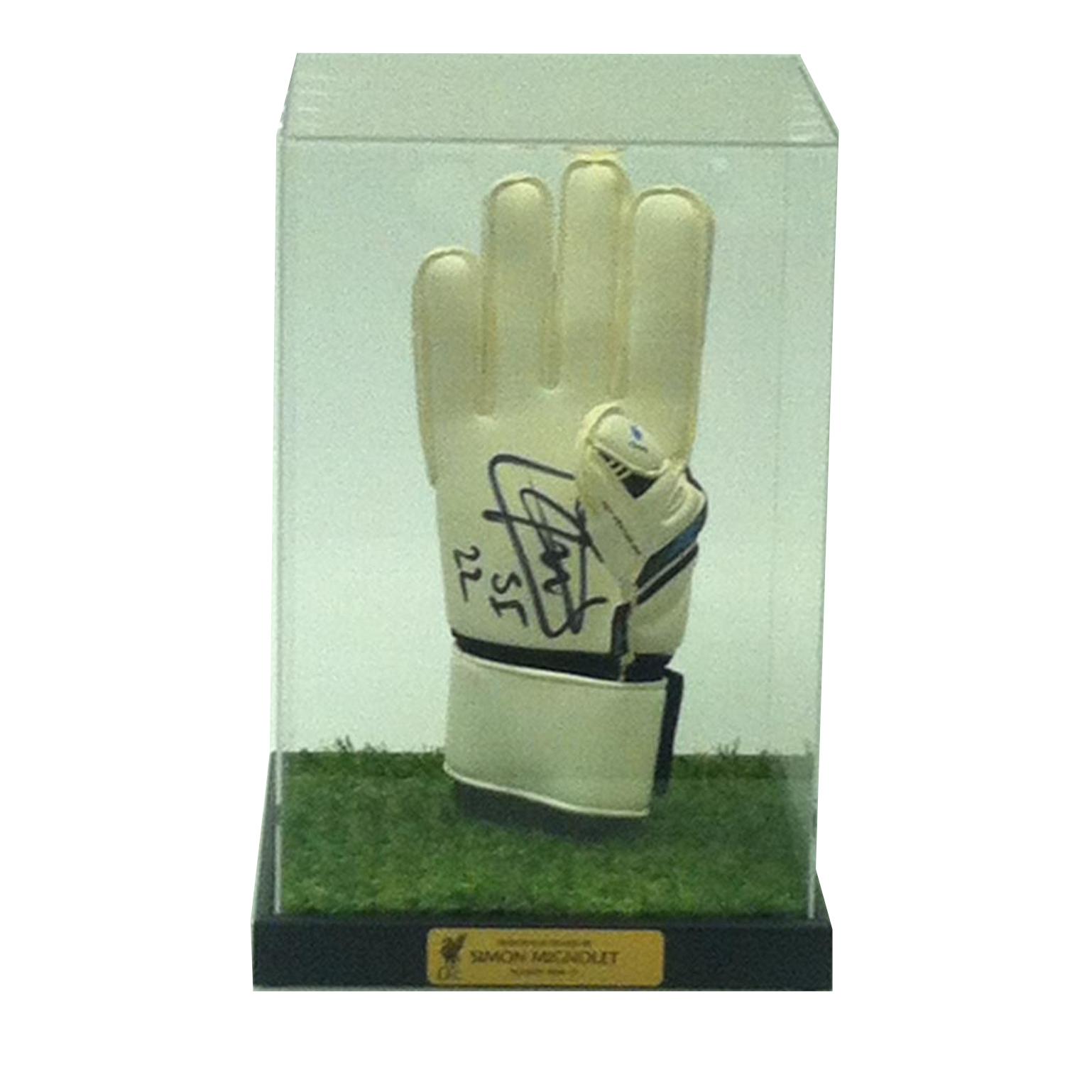 Classic Large Boxing Glove Display Case Portrait