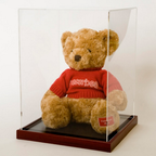 Classic Large Helmet Display Case Portrait