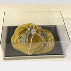 Classic Low Profile Boot / Cap / Boxing Glove Display Case Landscape