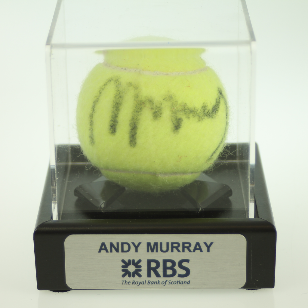 Classic Cricket Ball Display Case