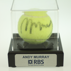 Classic Cricket Ball Display Case