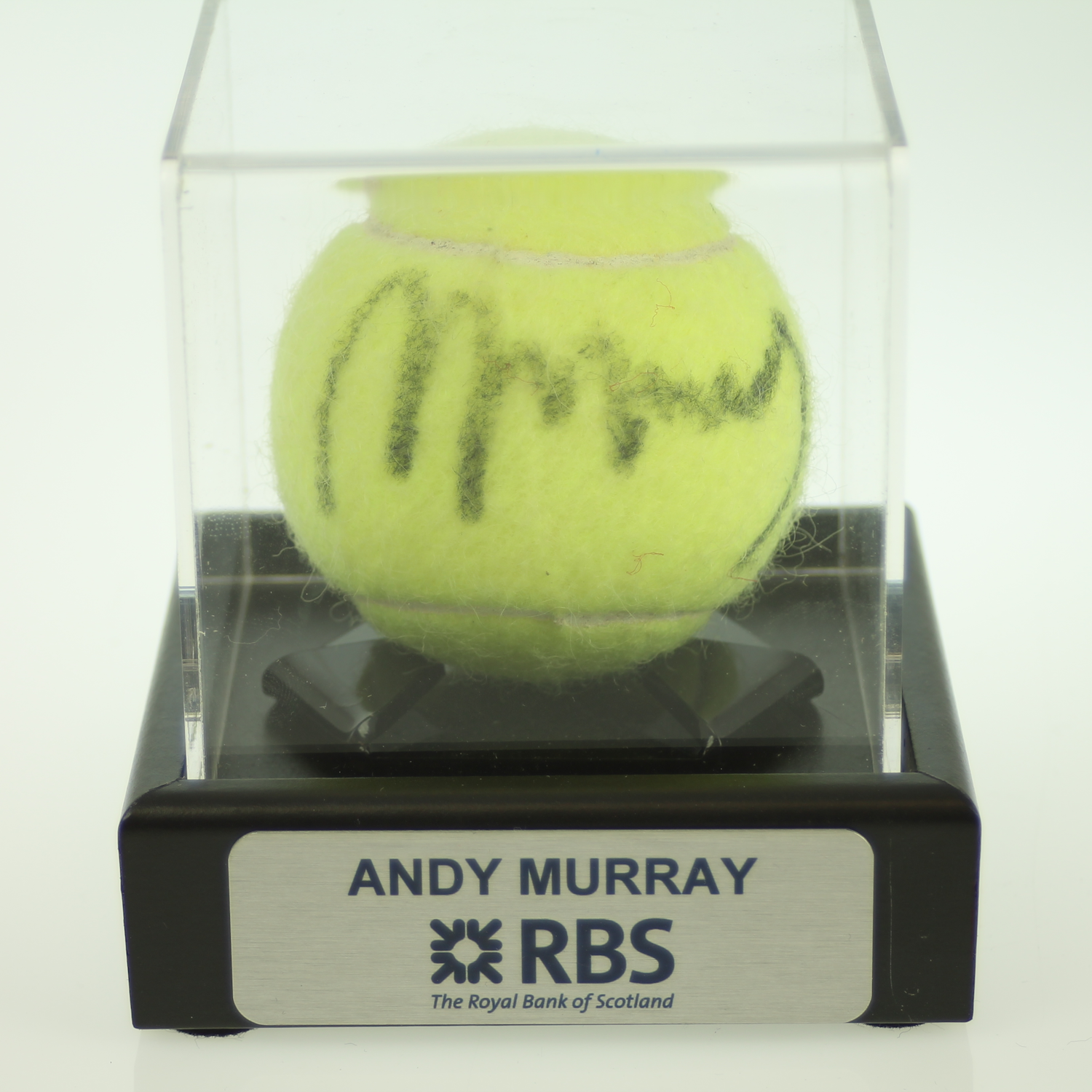 Classic Cricket Ball Display Case