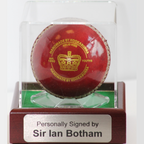 Classic Cricket Ball Display Case