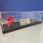 IBCC ceramic poppy in clear display case with a blue background