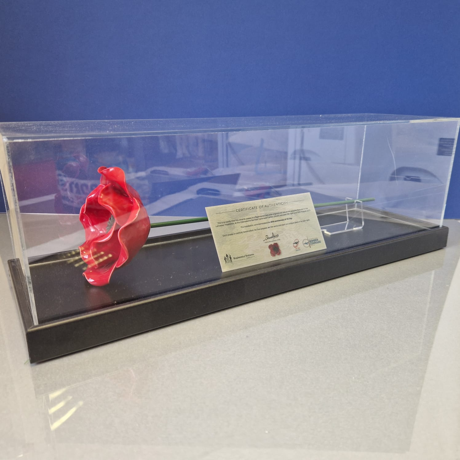 IBCC ceramic poppy in clear display case with a blue background