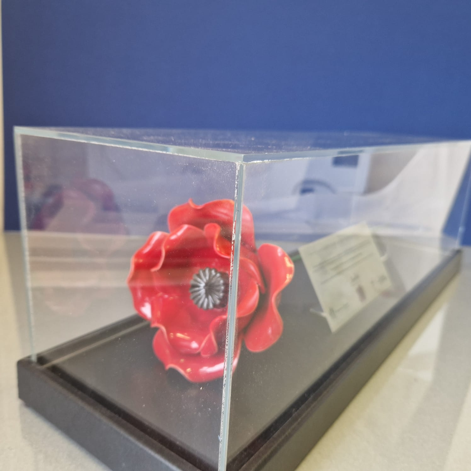 IBCC ceramic poppy in clear display case with a blue background