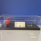 IBCC ceramic poppy in clear display case with a blue background