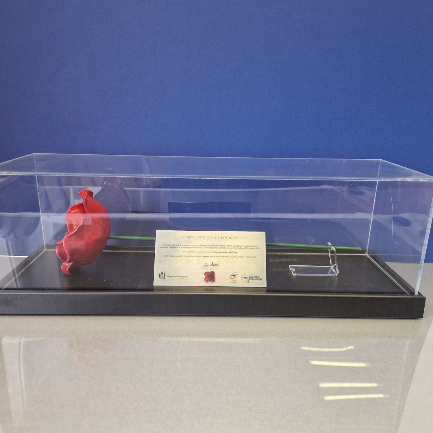 IBCC ceramic poppy in clear display case with a blue background