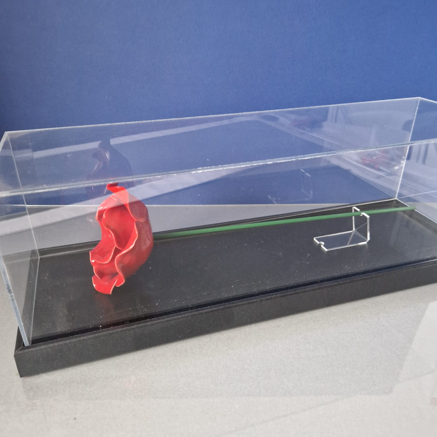 IBCC ceramic poppy in clear display case with a blue background