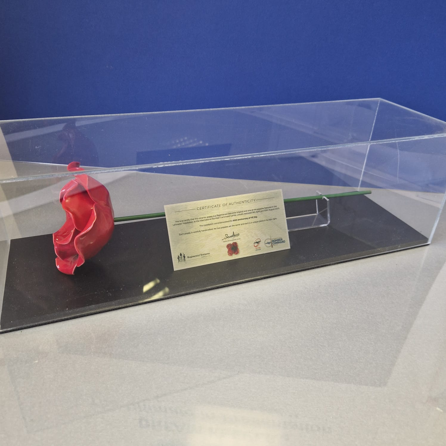IBCC ceramic poppy with stem and copy metal certificate in a clear display case against a blue background