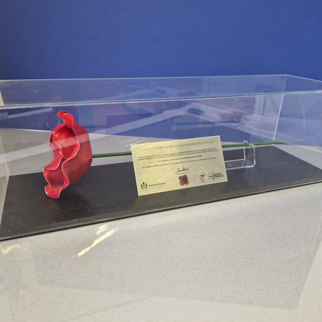 IBCC ceramic poppy with stem and copy metal certificate in a clear display case with black base against a blue background