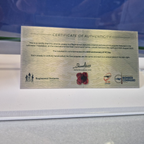 Certificate of Authenticity for a ceramic poppy with branding and design elements. On metal plaque.