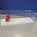 IBCC ceramic poppy with stemin a clear display case eith white base