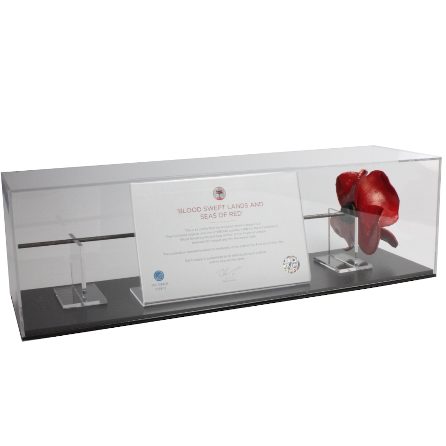 Primo Landscape display case with black base for Tower of London poppy - front view