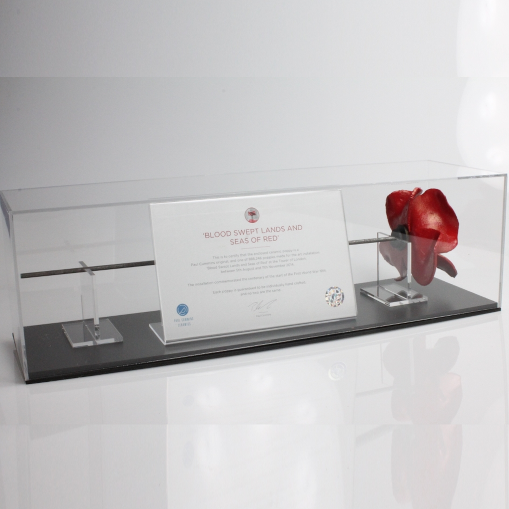 Primo Landscape display case with black base showing Tower of London ceramic poppy - angle view