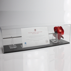 Primo Landscape display case with black base showing Tower of London ceramic poppy - angle view
