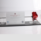 rimo Landscape ceramic poppy display case with black base - close-up view