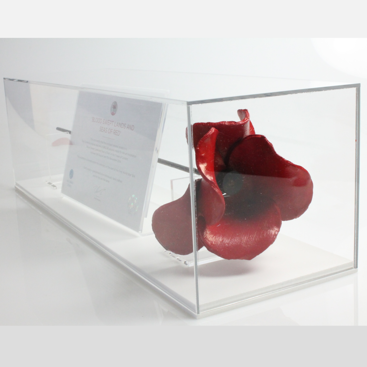 Primo Landscape display case with white base for ceramic poppy - front view