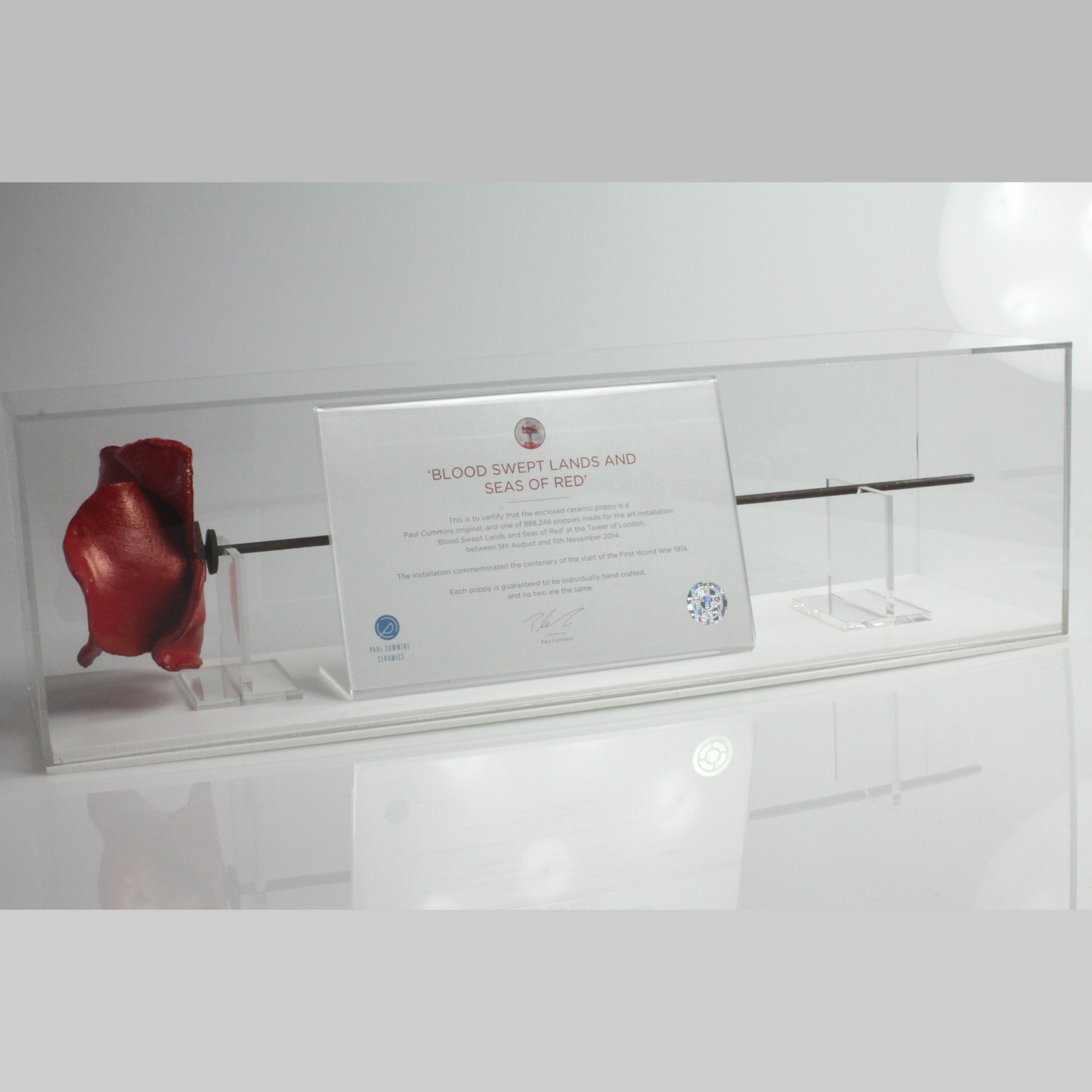 Primo Landscape poppy display case with white base - angle view