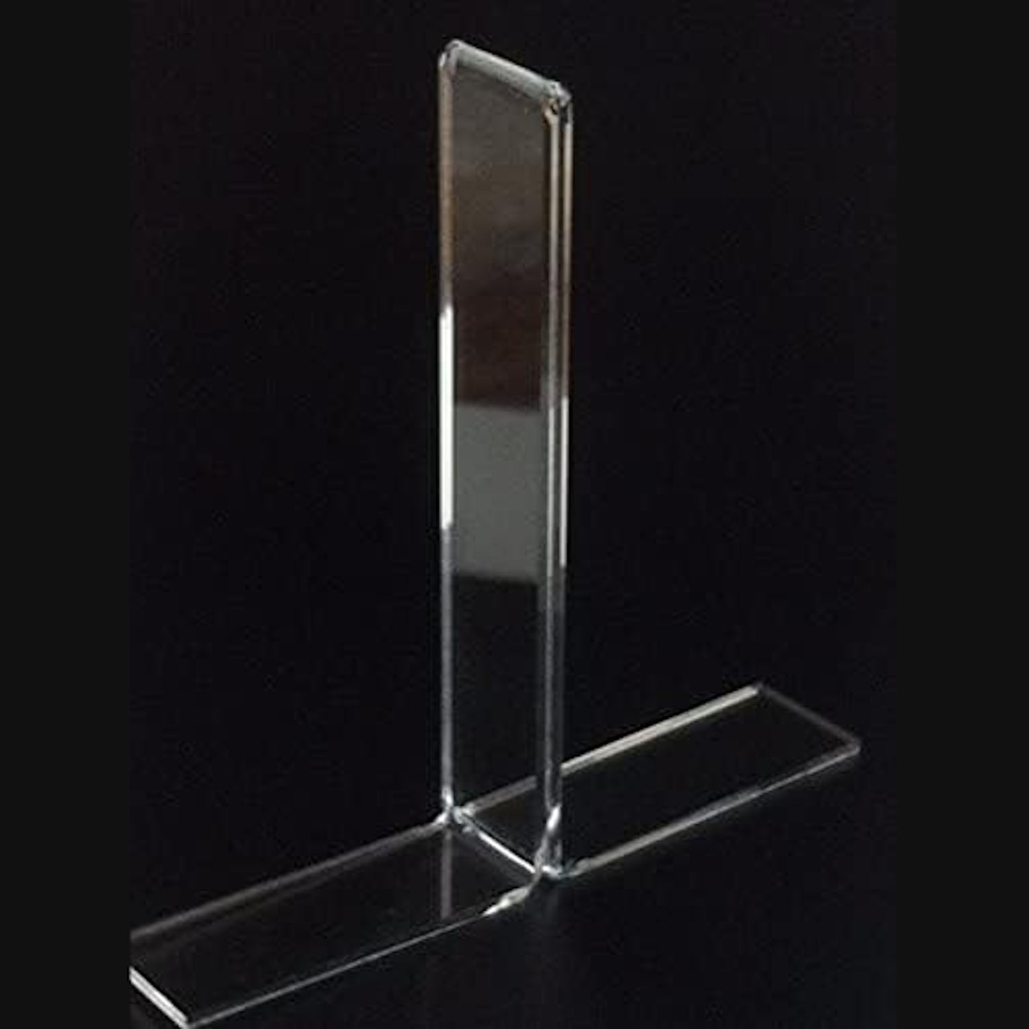 Classic Large Boxing Glove Display Case Portrait