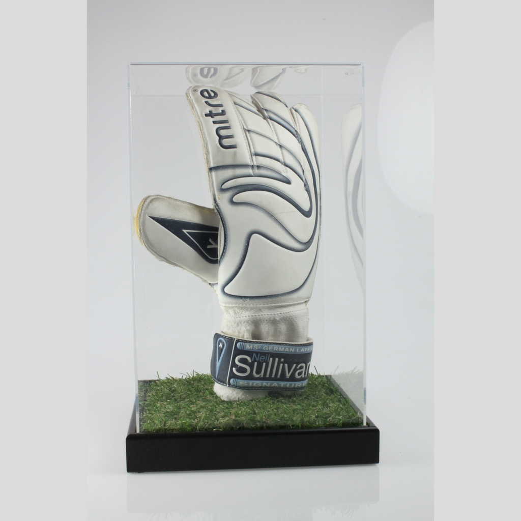 Classic Boxing Glove Display Case Portrait