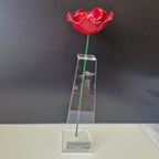 Ceramic poppy on acrylic stand with IBCC Lancaster plaque