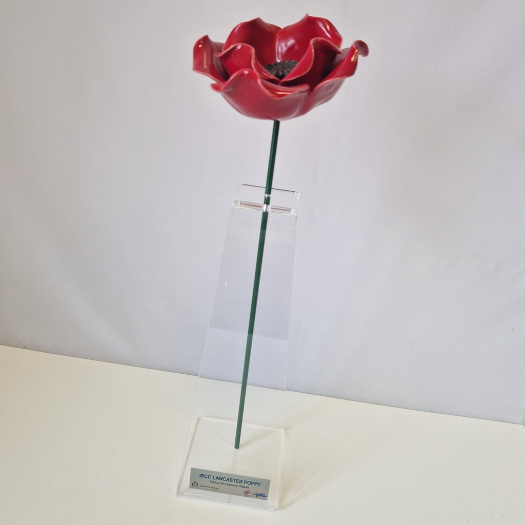 Ceramic poppy on stand with IBCC plaque