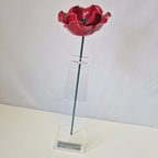 Ceramic poppy on stand with IBCC plaque