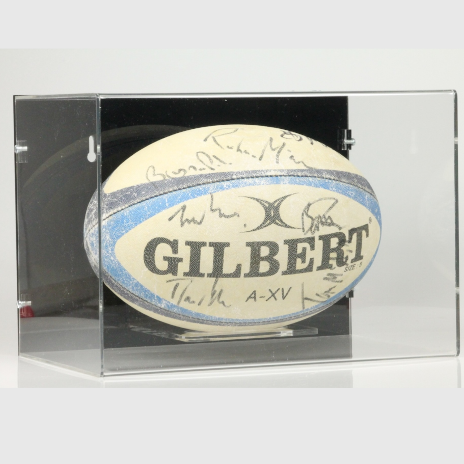 rugby ball in wall mount display case