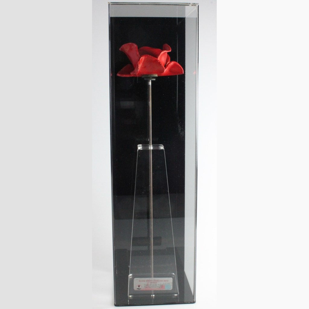 Ceramic Poppy on stem in premium wall mount display case