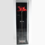 Ceramic Poppy on stem in premium wall mount display case