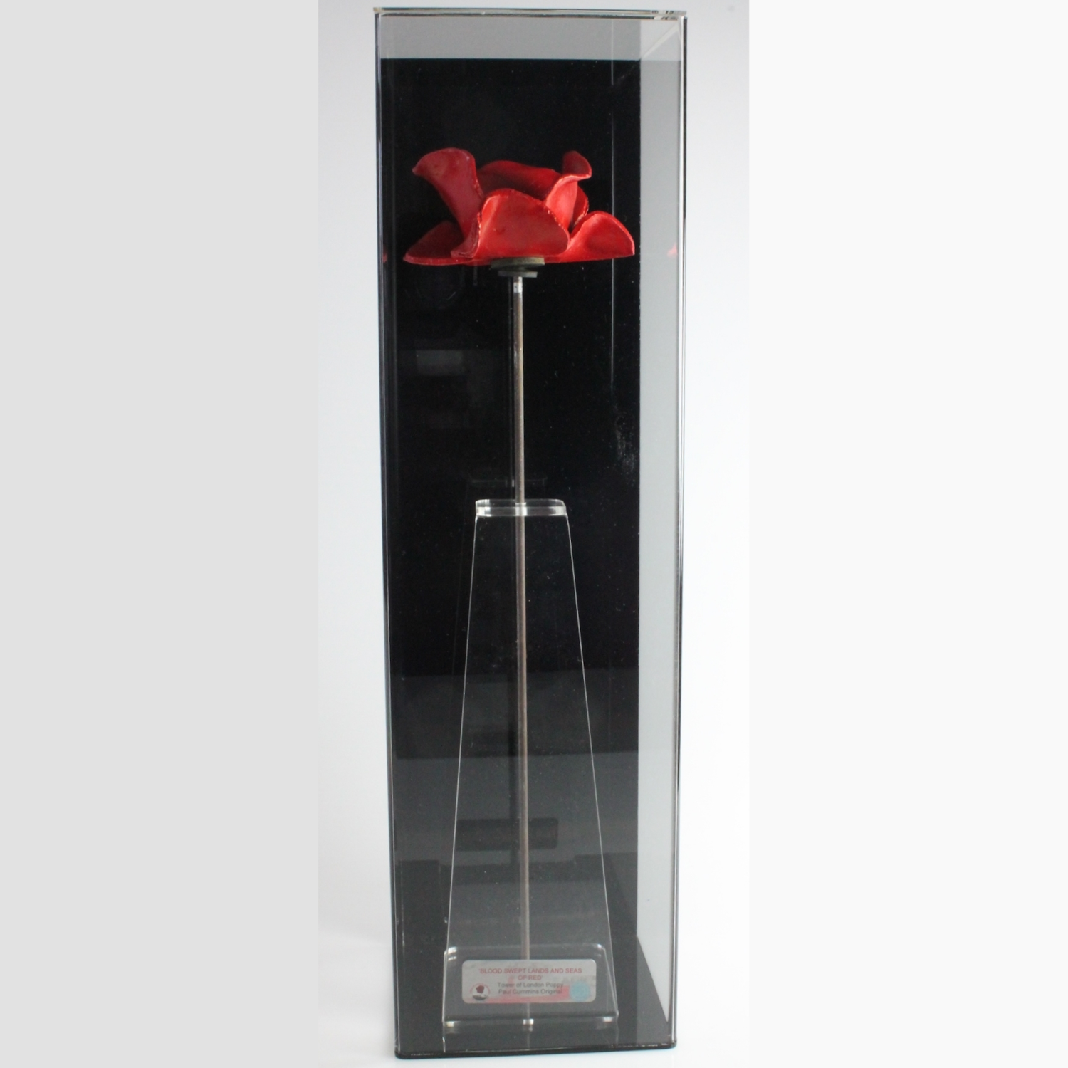 Ceramic Poppy on stem in premium wall mount display case