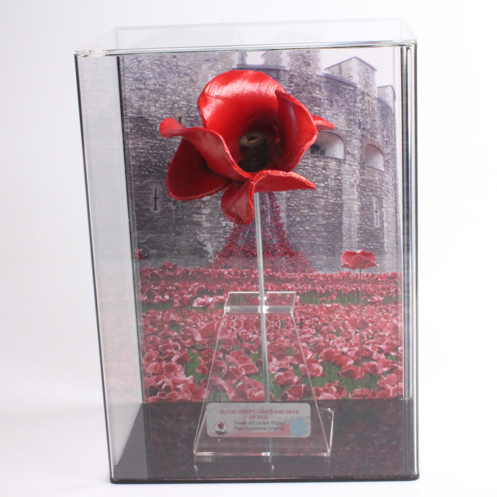 Tower of London ceramic poppy in a Milano wall mount display case with A4 image