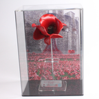 Tower of London ceramic poppy in a Milano wall mount display case with A4 image