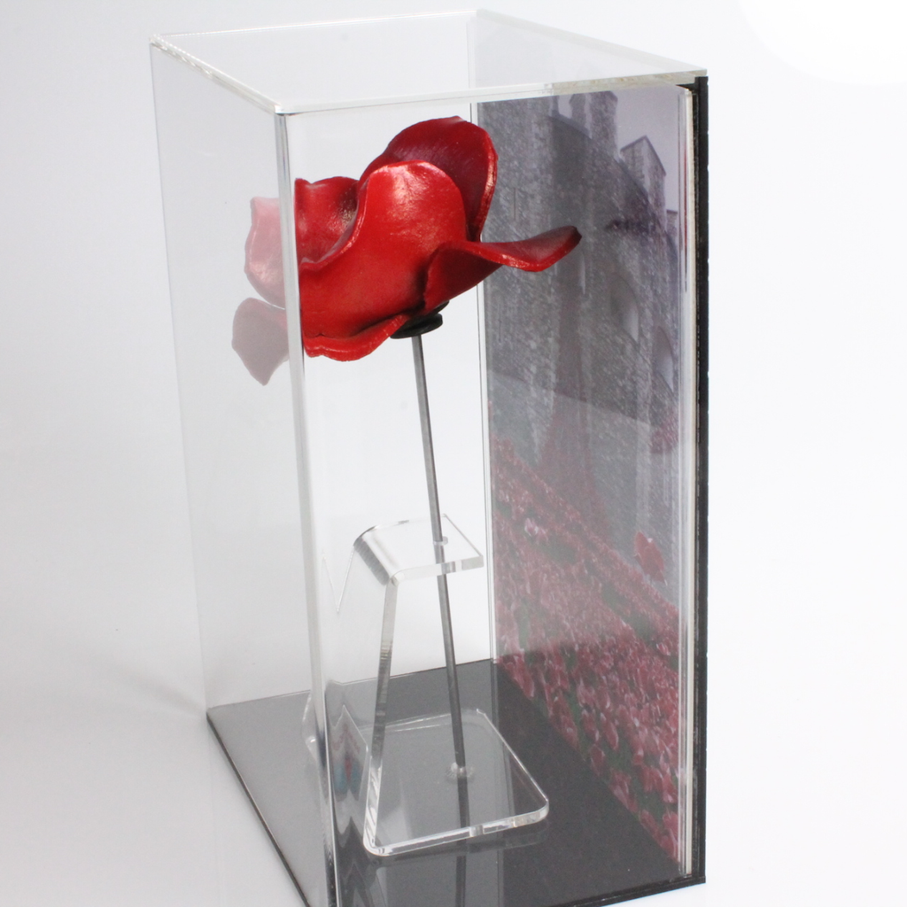 Tower of London ceramic poppy in a Milano wall mount display case with A4 image side view