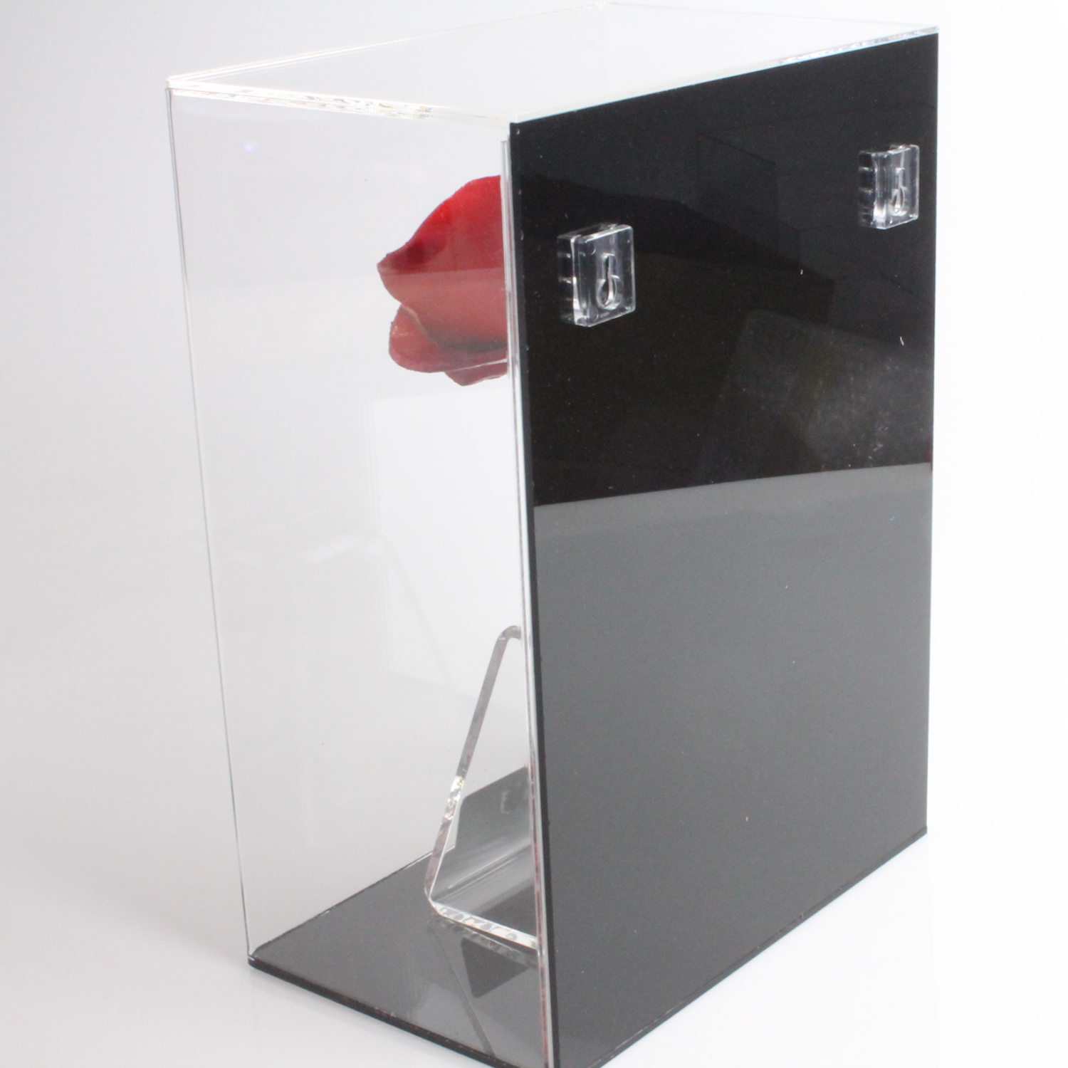 keyhole hangers at back of Milano DWC-323 wall mount acrylic display case