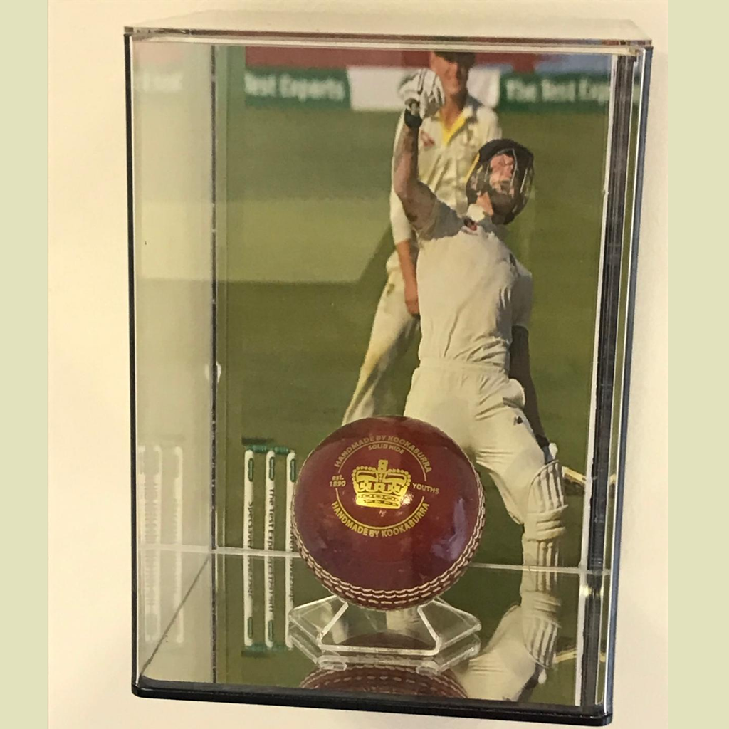 Wall Mount Baseball Acrylic Display Case with image rails