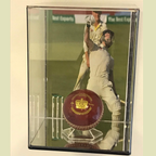 Wall Mount Baseball Acrylic Display Case with image rails