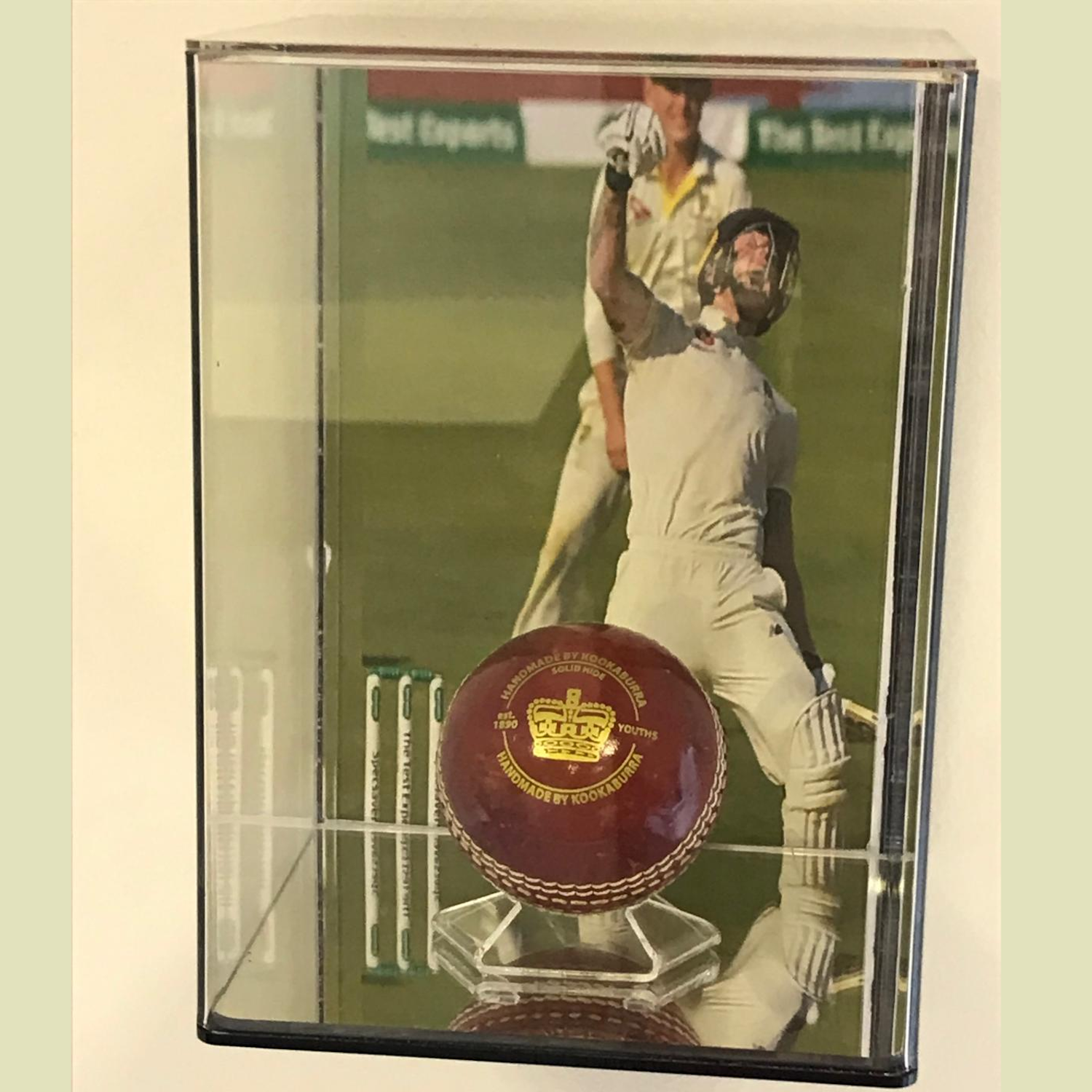 Wall Mount Baseball Acrylic Display Case with image rails