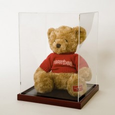 Teddy Bear Display Case