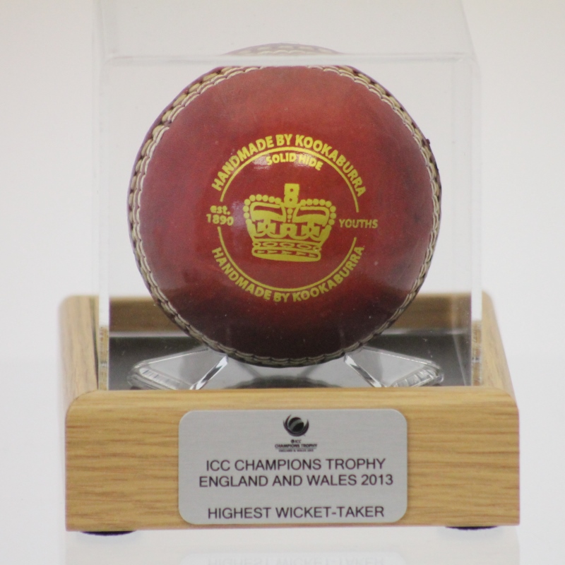 Signiert Cricket Ball Display Case Grau Mount 