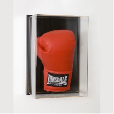 Wall Mount Boxing Display Case